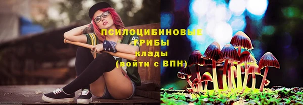 таблы Алексеевка