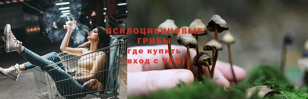 таблы Алексеевка