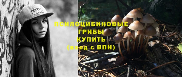 прущая мука Абинск