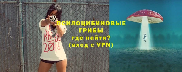 хмурый Алзамай